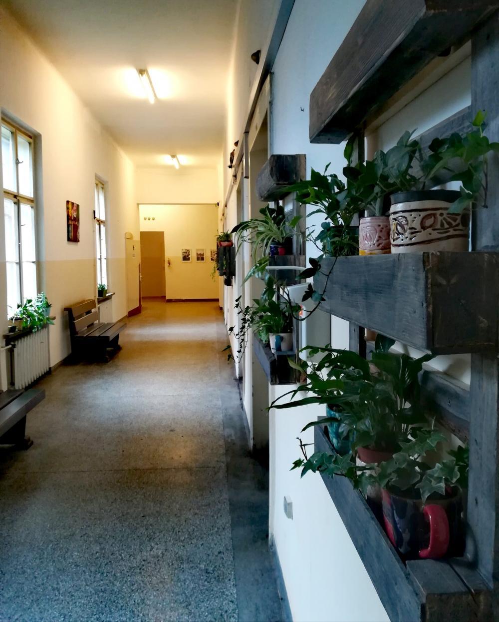 Oddział Psychiatryczny Dzienny